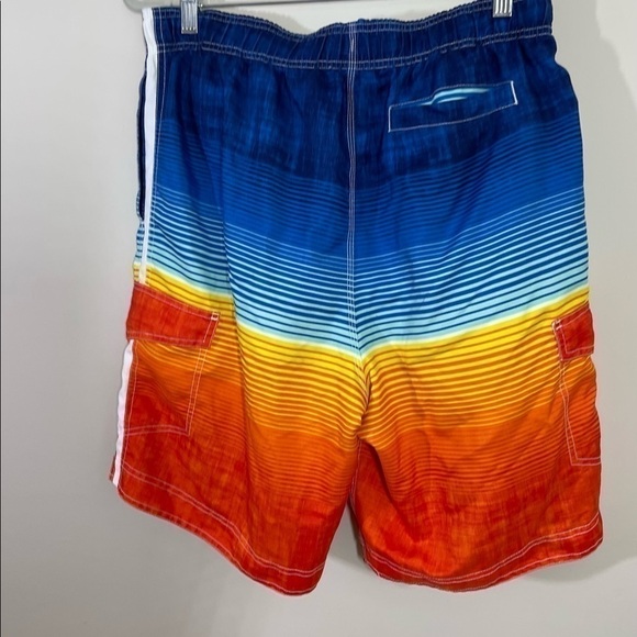 Wave Zone sz lg mens swimsuit  multicolored with the liner - Picture 2 of 11